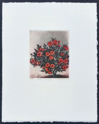 "Roses rouges" d'Annapia Antonini