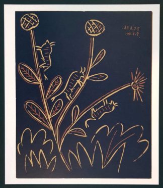 Plante aux Toritos, linogravure de Pablo Picasso