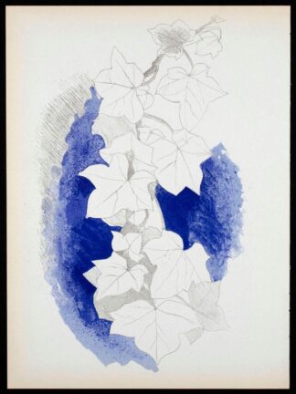 Lithographie Lierre sur fond bleu de Georges Braque