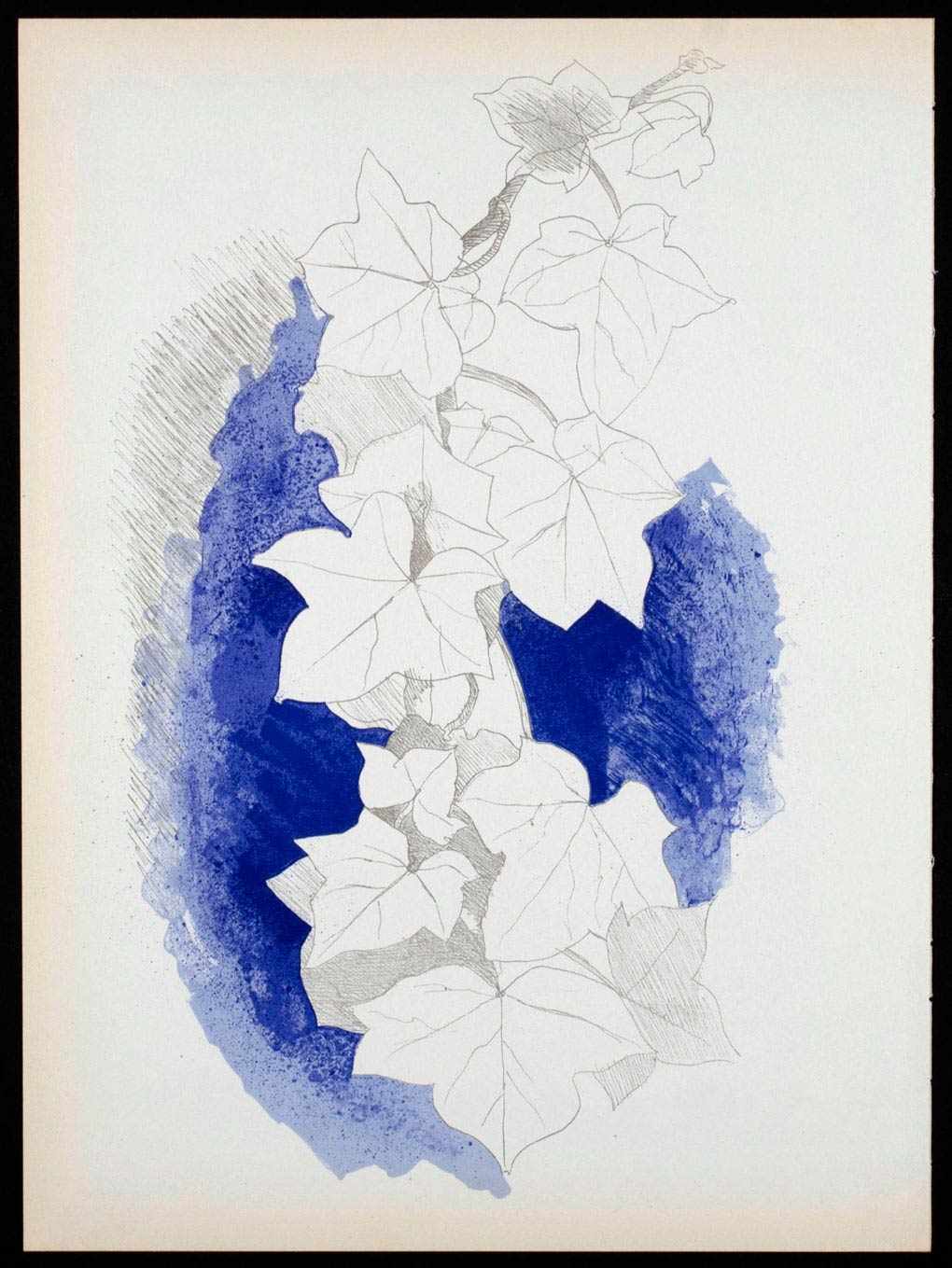 Lithographie Lierre sur fond bleu de Georges Braque