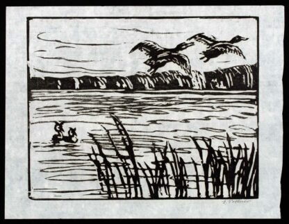 Une gravure sur bois de canards volants par Emil Pottner