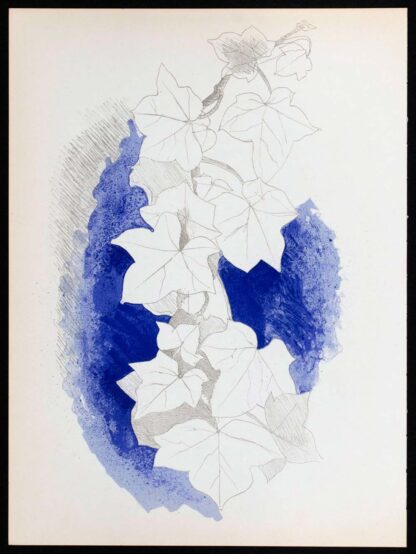 Lithographie Lierre sur fond bleu de Georges Braque